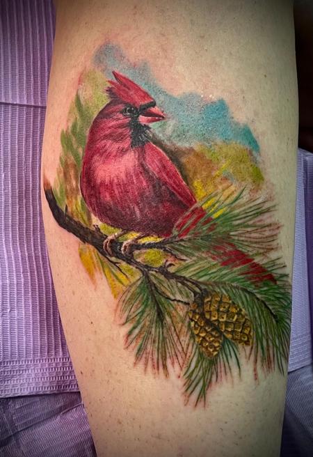 James Templin - red cardinal 