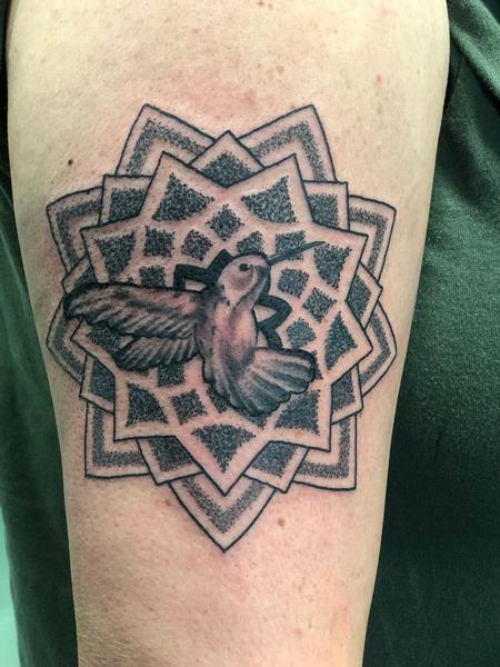 Jake Hand - Hummingbird w/ Geometric Background