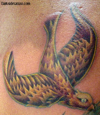 Tattoos - Bob's Bird
 - 1706