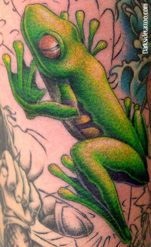 Tattoos - Frog
 - 1712