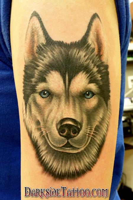 Tattoos - Color Husky Portrait - 103814