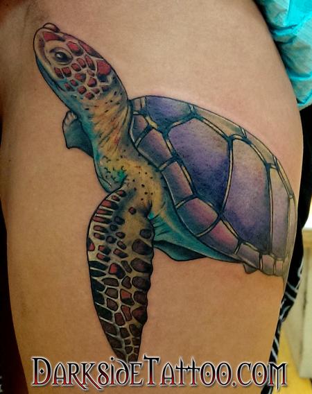 Tattoos - Color Turtle Tattoo - 120346