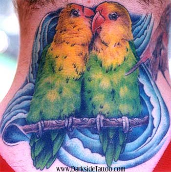 Tattoos - Lovebirds - 344