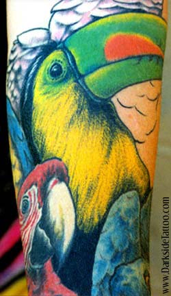 Tattoos - Toucan / parrots - 353