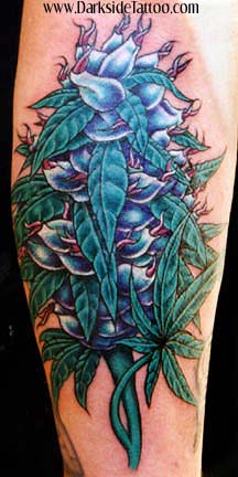 Tattoos - Bubble Berry - 355