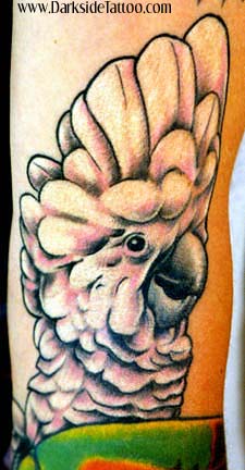 Tattoos - Cockatoo - 356