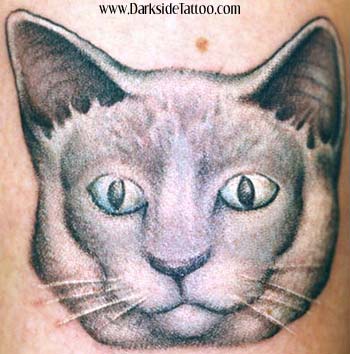Tattoos - Cat - 359
