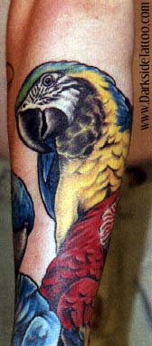 Tattoos - Parrot - 458