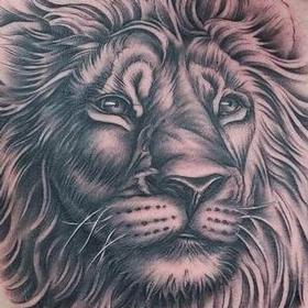 Tattoos - Lion - 142471