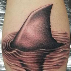 Tattoos - Shark fin - 127475