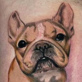 Tattoos - French Bulldog - 142415