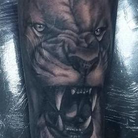 Tattoos - Lion - 142456