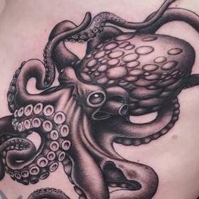 Tattoos - Octopus - 142429