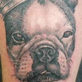 Tattoos - Black and Gray Bulldog Portrait - 122831
