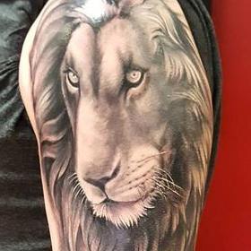 Tattoos - Black and Gray Lion and Roses - 130034