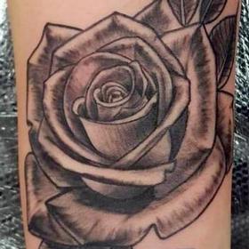 Tattoos - Black and Gray Rose Tattoo - 122833