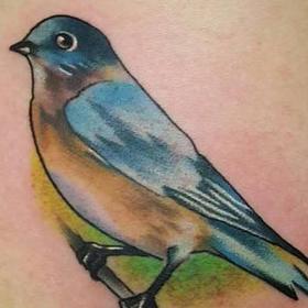 Tattoos - Color Bird Tattoo - 113665