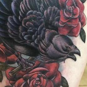 Tattoos - Bird and Roses - 130031