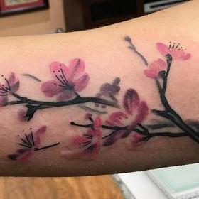 Tattoos - Watercolor Cherry Blossom Tattoo - 113666