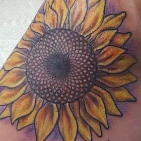 Tattoos - Color Sunflower Tattoo - 130033