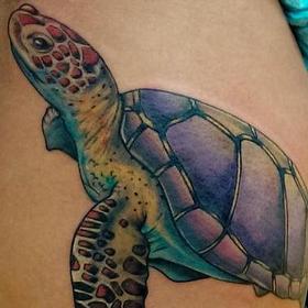 Tattoos - Color Turtle Tattoo - 120346