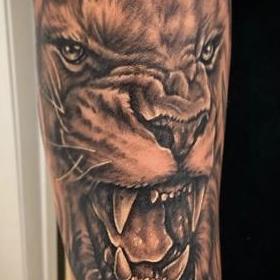 Tattoos - Lion - 141773