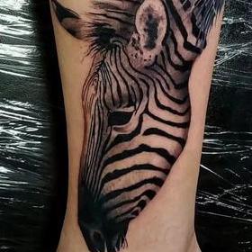 Tattoos - Zebra - 145915