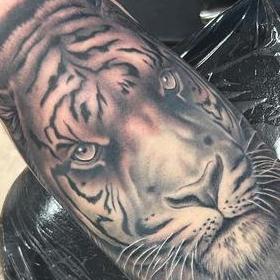 Tattoos - Tiger - 145917