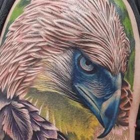 Tattoos - Phillipines Eagle - 145905