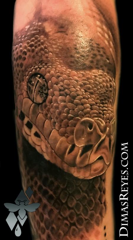 Tattoos - Black and Grey Tree Viper tattoo - 138867