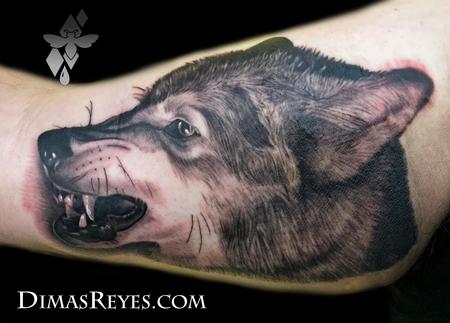 Tattoos - Black and grey Wolf tattoo - 138862