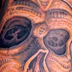Tattoos - Randy, bio skull - 72600