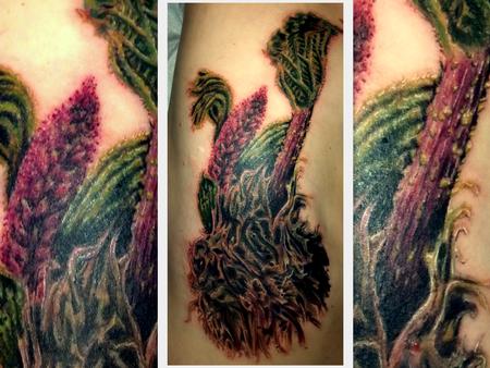Tattoos - Rhubarb tattoo on ribs - 77118