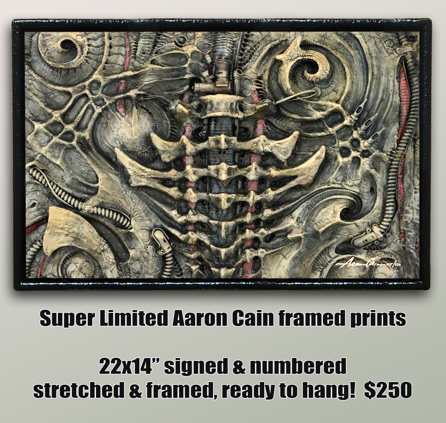FRAMED Limited Edition AARON CAIN Print!