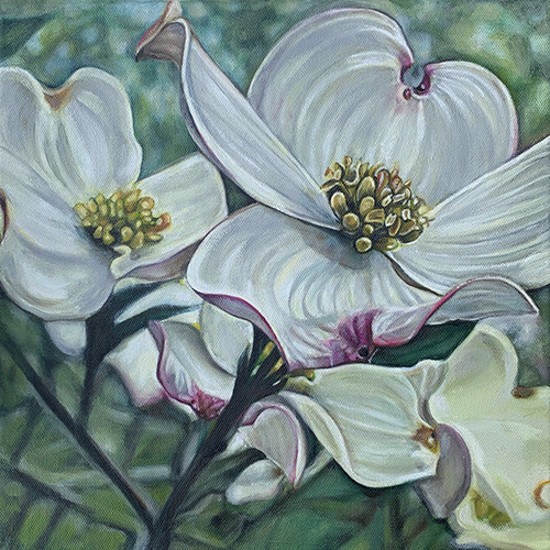 Dogwood flower canvas art print