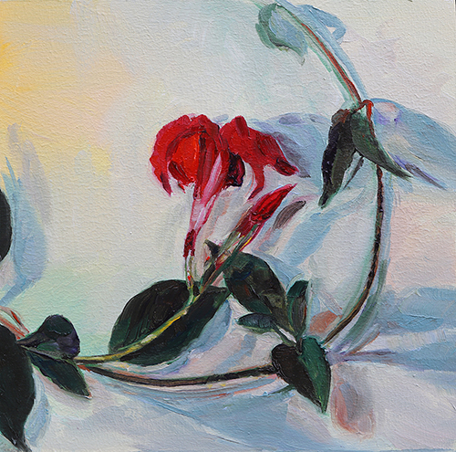 mandevilla print