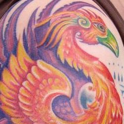 Tattoos - Nikki phoenix half sleeve - 71335