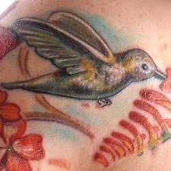 Tattoos - amy hummingbird sleeve detail - 71338