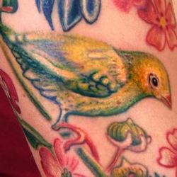 Tattoos - lily bird halfsleeve detail - 71340