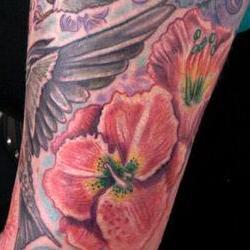 Tattoos - casey barnswallow sleeve detail - 71329