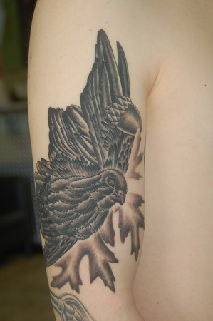 Tattoos - Dead Bird , acorn and leaves - 43535