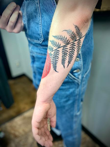 Tattoos - fern - 142800