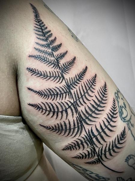 Tattoos - fern tattoo - 142371