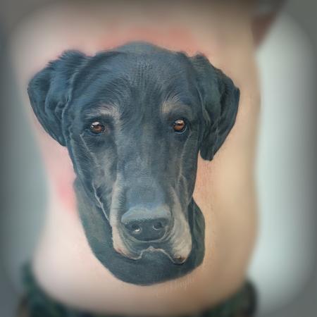 Tattoos - Labrador mix dog portrait - 138845