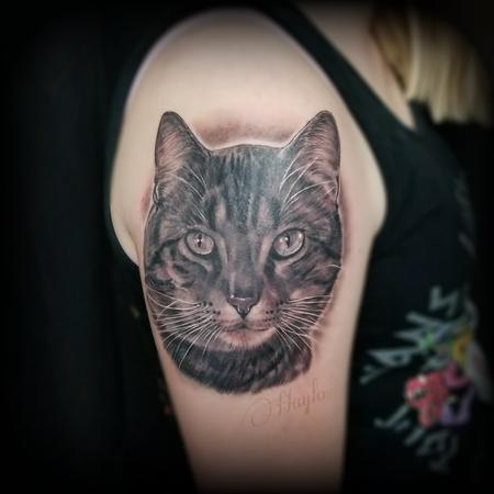 Tattoos - Cat Portrait tattoo by Haylo  - 141152