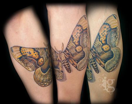 Tattoos - Giant Moth leg tattoo by Haylo - 141613