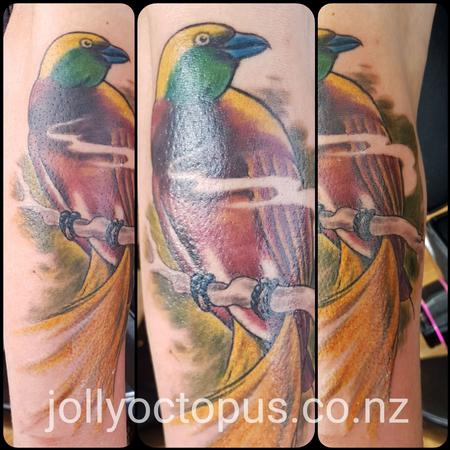 Tattoos - Bird of Paradise Color Tattoo - 127676