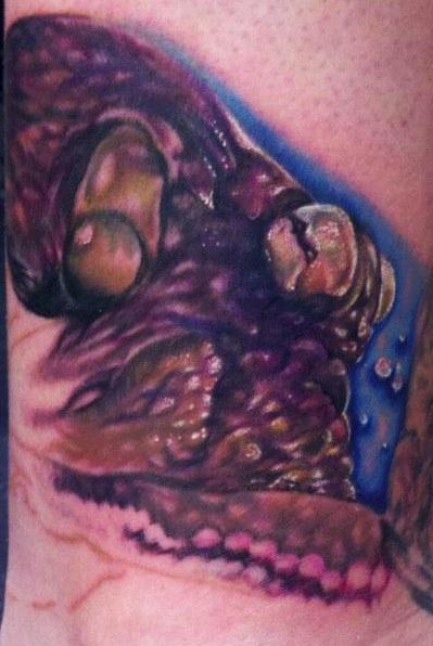 Tattoos - Octopus - 69573
