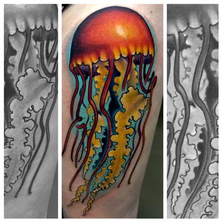 Kevin Bledsoe - Jelly fish walk up from Toronto show