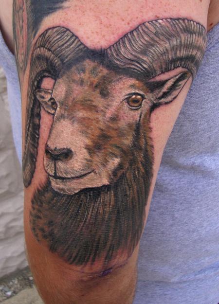 Tattoos - Corsican Ram - 98914